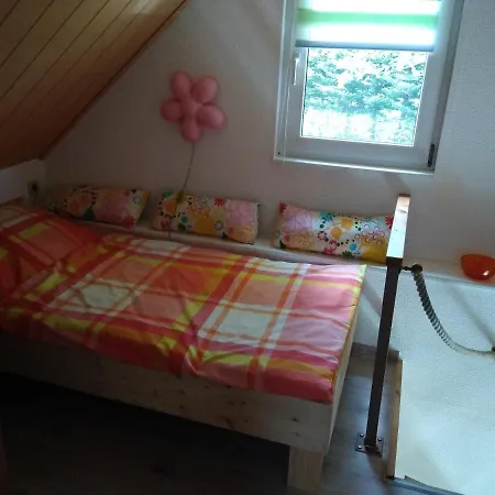 Rennsteig Müller Ferienhaus *